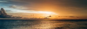 Sunrise New Leadership