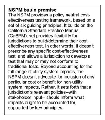 NESP basic premise