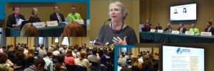 Pat Stanton presents on EESI panel legislative briefing Energy Efficiency Jobs in America