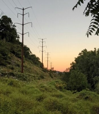 Power lines flanked by trees with shrubs below and a sunset sky above